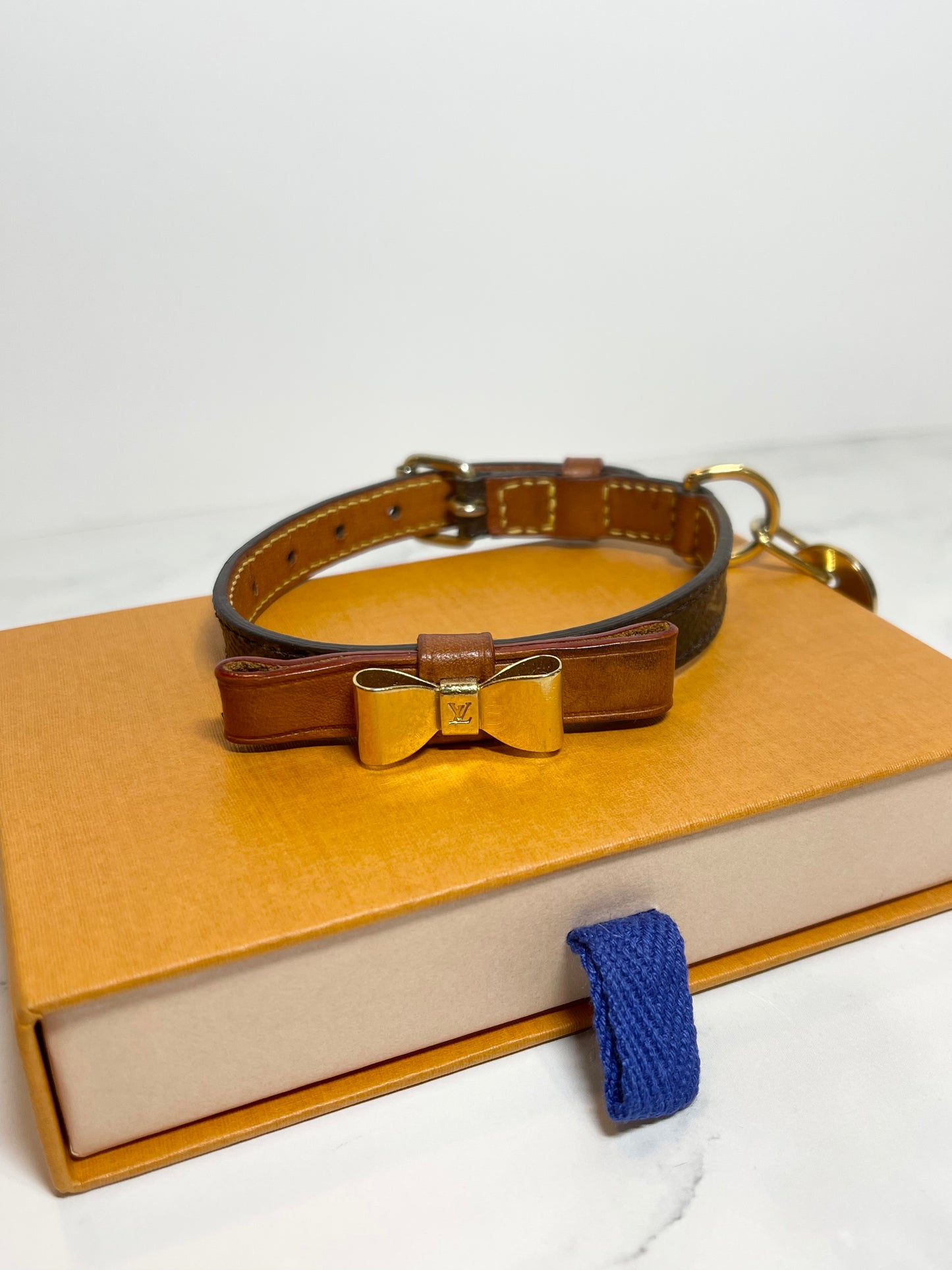 Louis Vuitton Baxter Collar