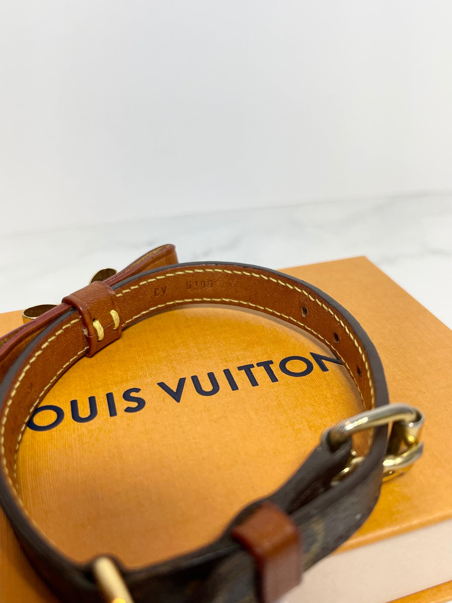 Louis Vuitton Baxter Collar