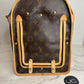 Louis Vuitton Monogram Sac Chien 40 Pet Carrier